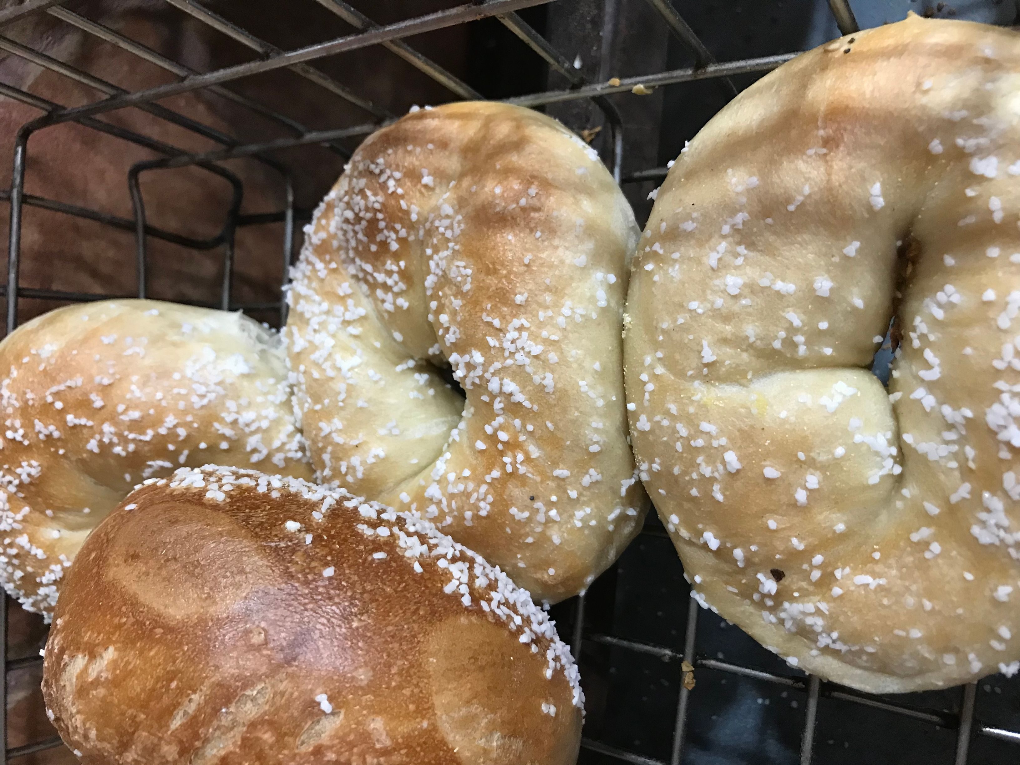 Salt Bagel.
