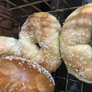 Salt Bagel