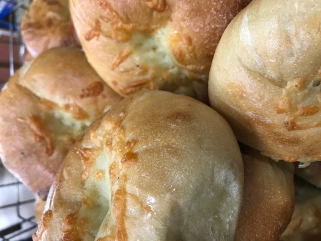 Asiago Bagel.