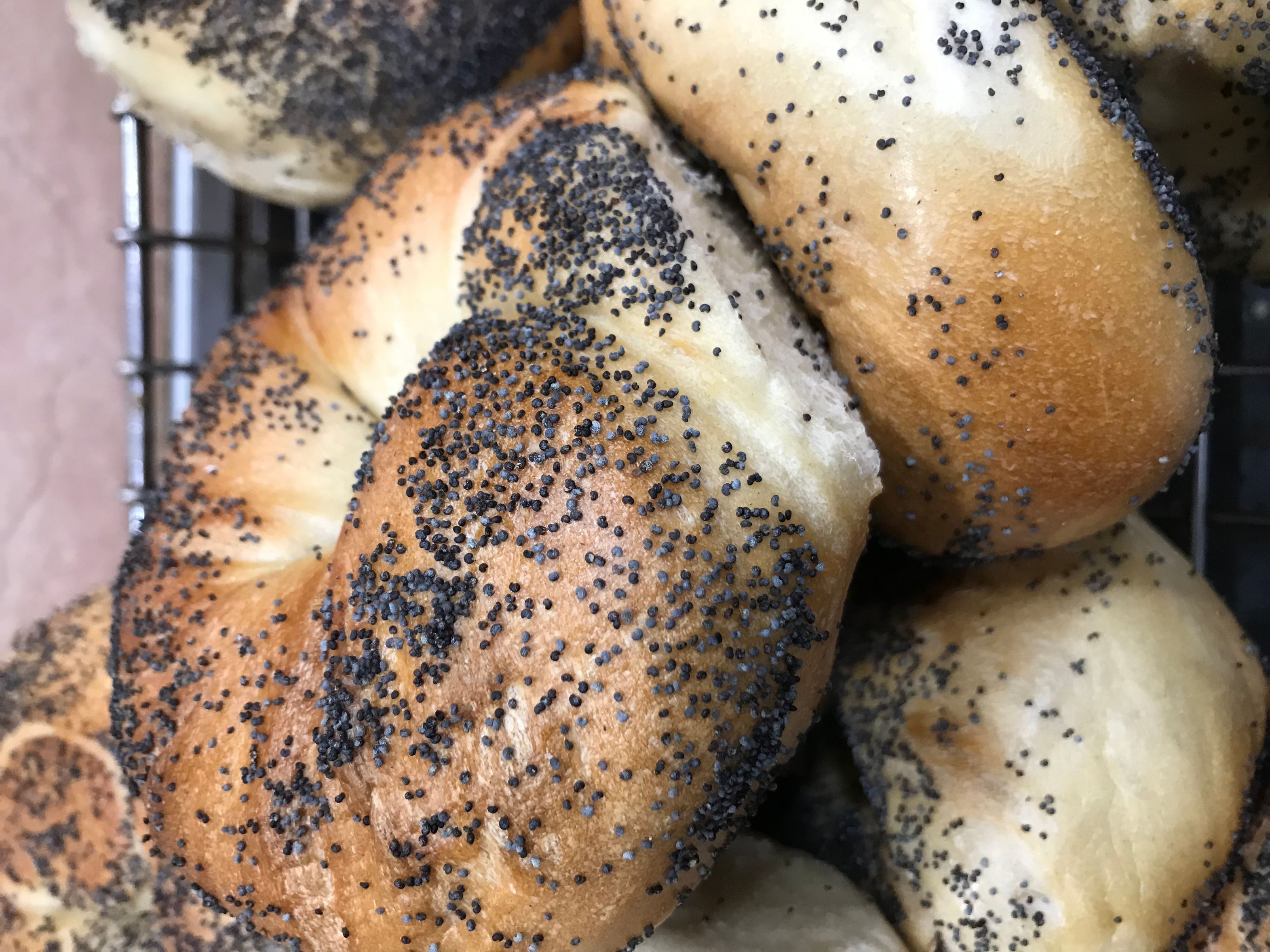 Poppy Bagel.