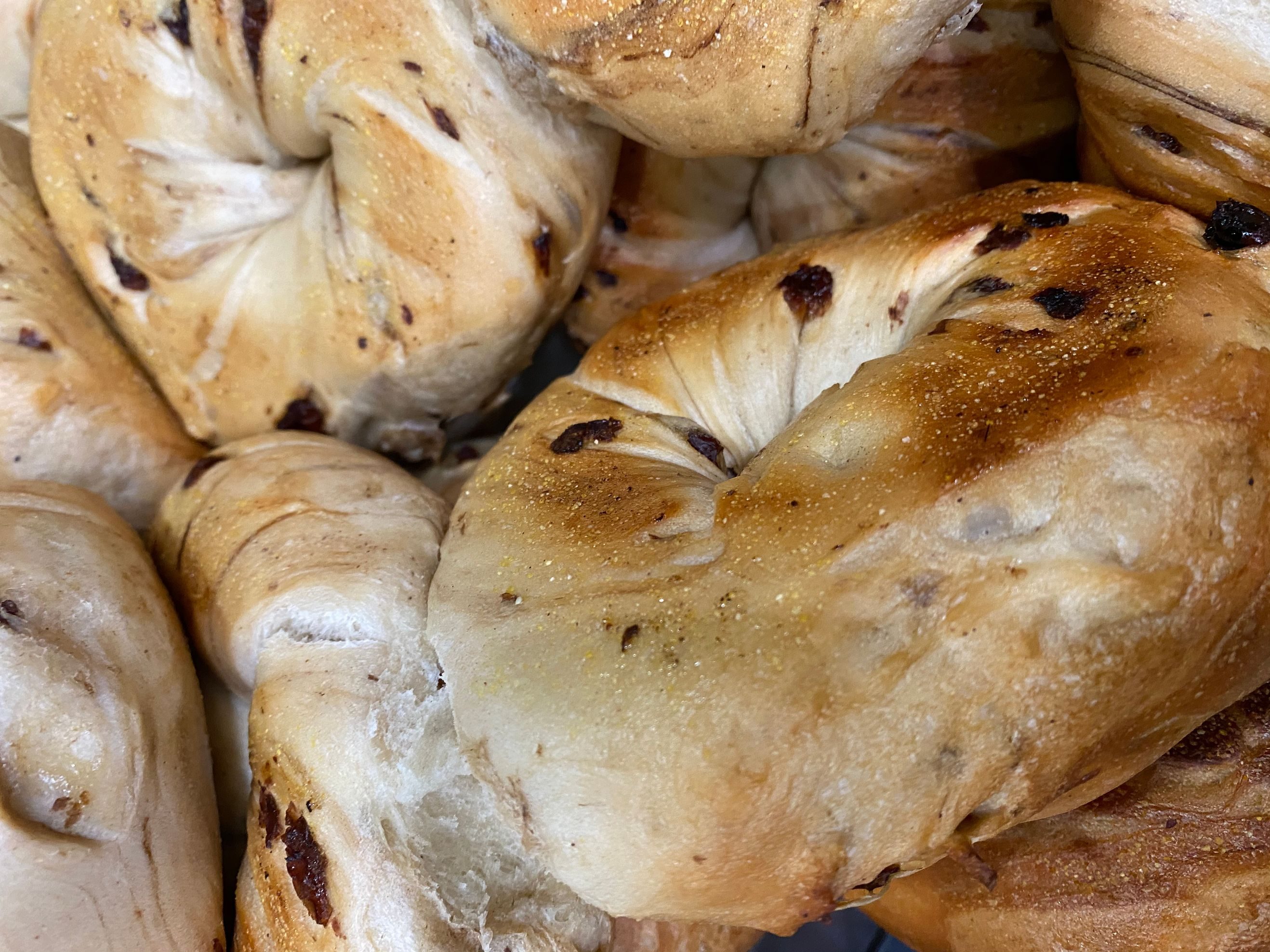 Cinnamon Raisin Bagel.