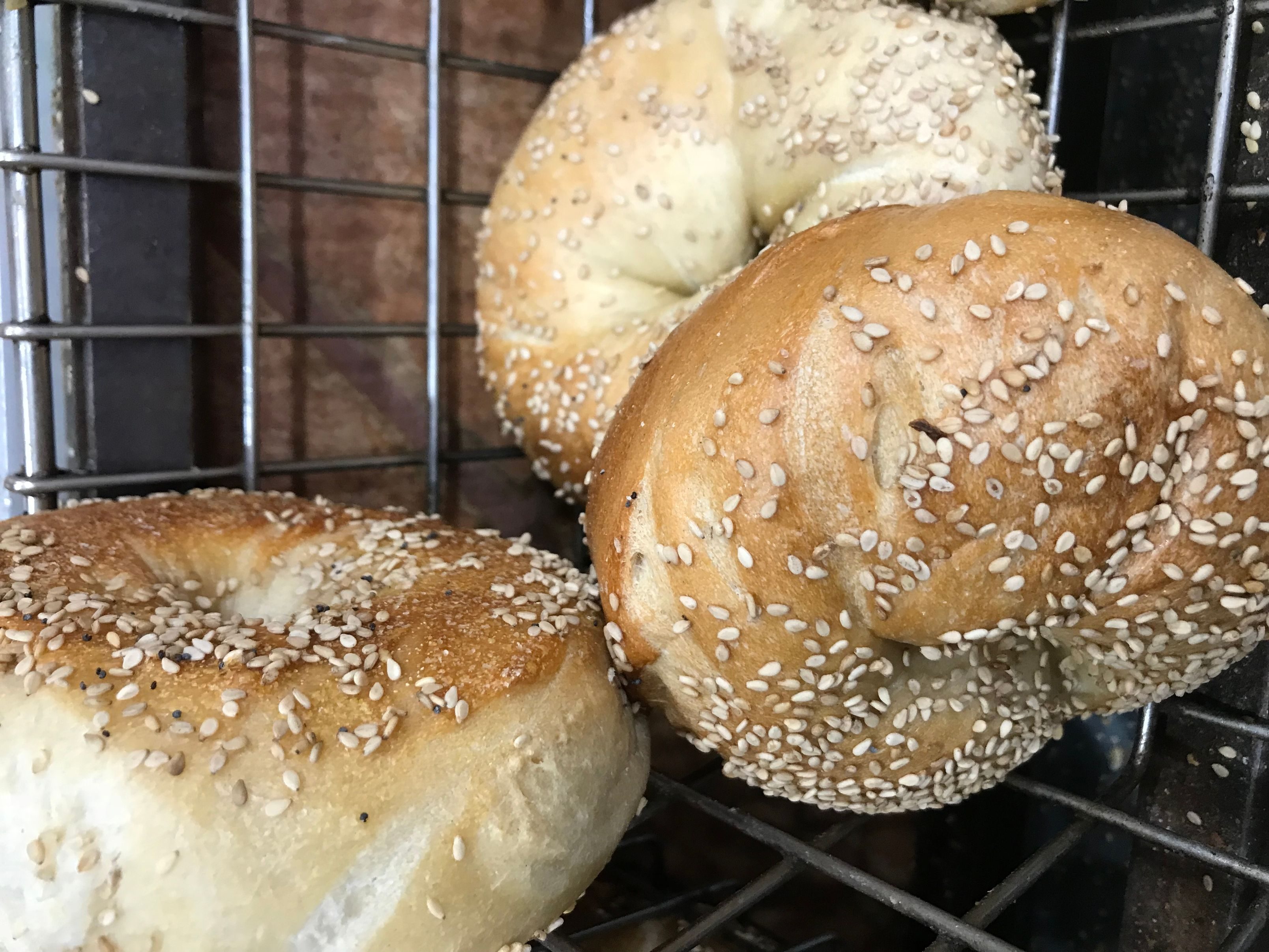 Sesame Bagel.